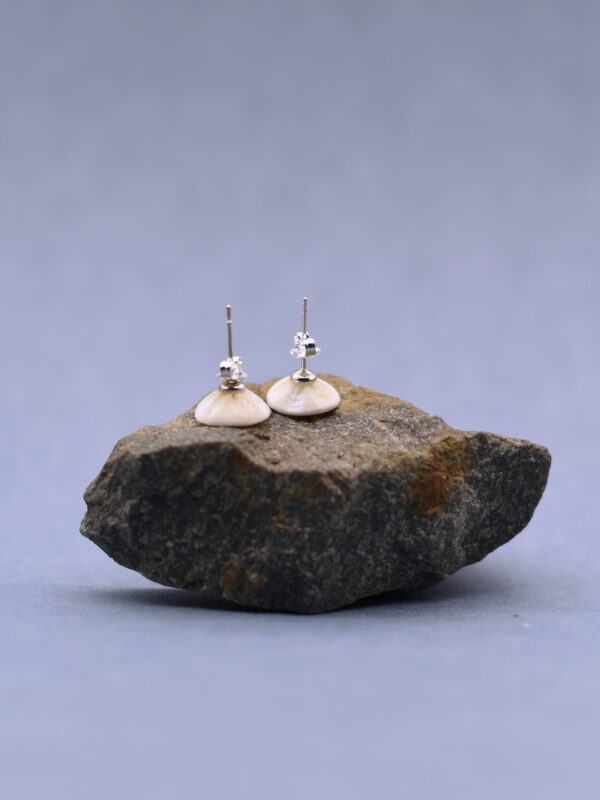 fish bone stud earrings - Image 2