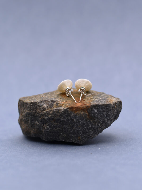 fish bone stud earrings - Image 3