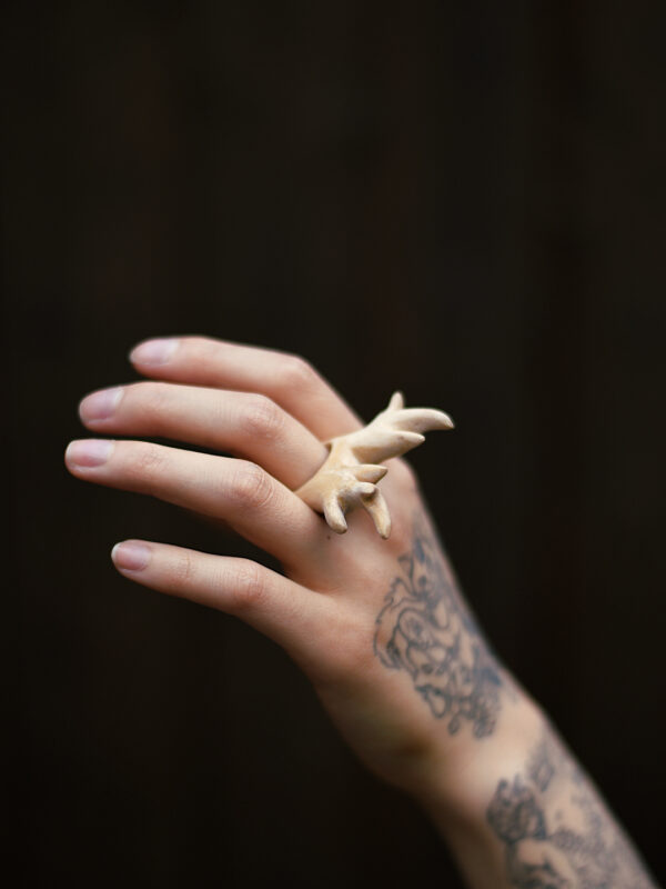 saisei sakura ring - Image 3